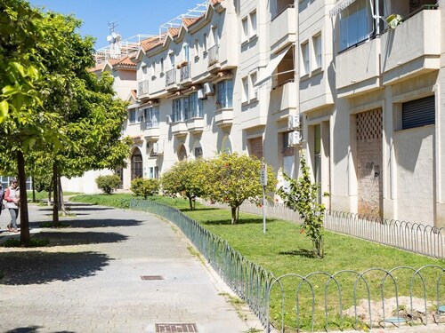 sibssanlúcar Camelias