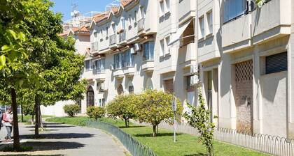 sibssanlúcar Camelias