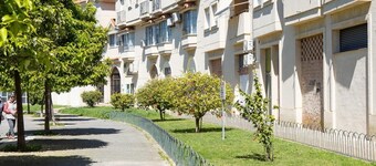 sibssanlĂșcar Camelias