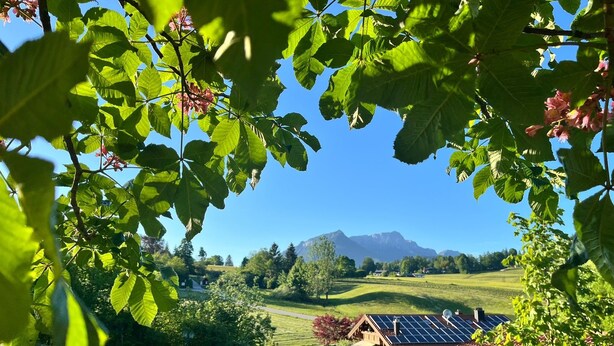 Une maison dotée de panneaux solaires, entourée de verdure et avec des montagnes en arrière-plan.