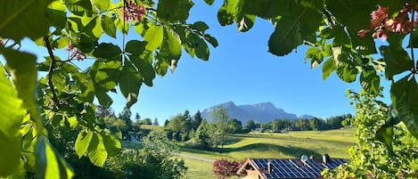 Ulkoalueet
