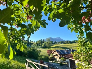Una casa con paneles solares, rodeada de vegetación y montañas al fondo.