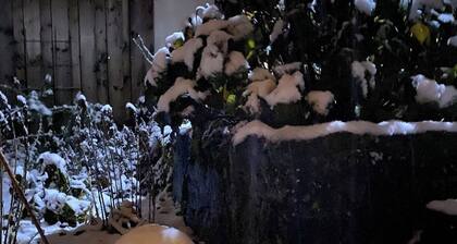 Haus Bornstein, cozy fachwerk house near Winterberg. Pet friendly!