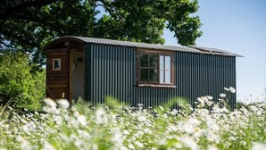 A small, single-room cabin with a wooden door and a window, surrounded by a field of white flowers. - Harbour Ranch Hut - Rustic Countryside Escape (Emsworth)