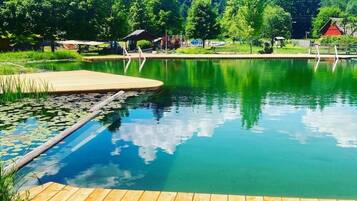 A wooden dock leading into a clear pond with lily pads, surrounded by lush greenery and a forested backdrop.