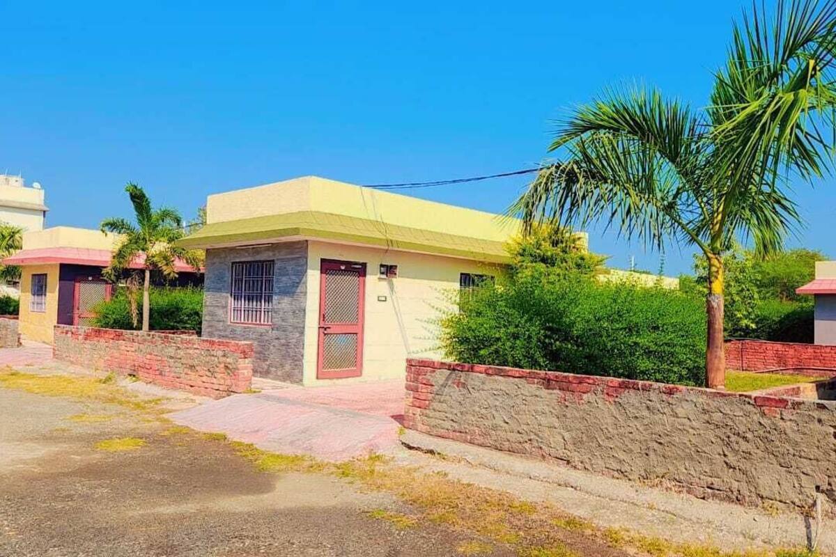 Zona residencial con casas, una calle pavimentada y una palmera.