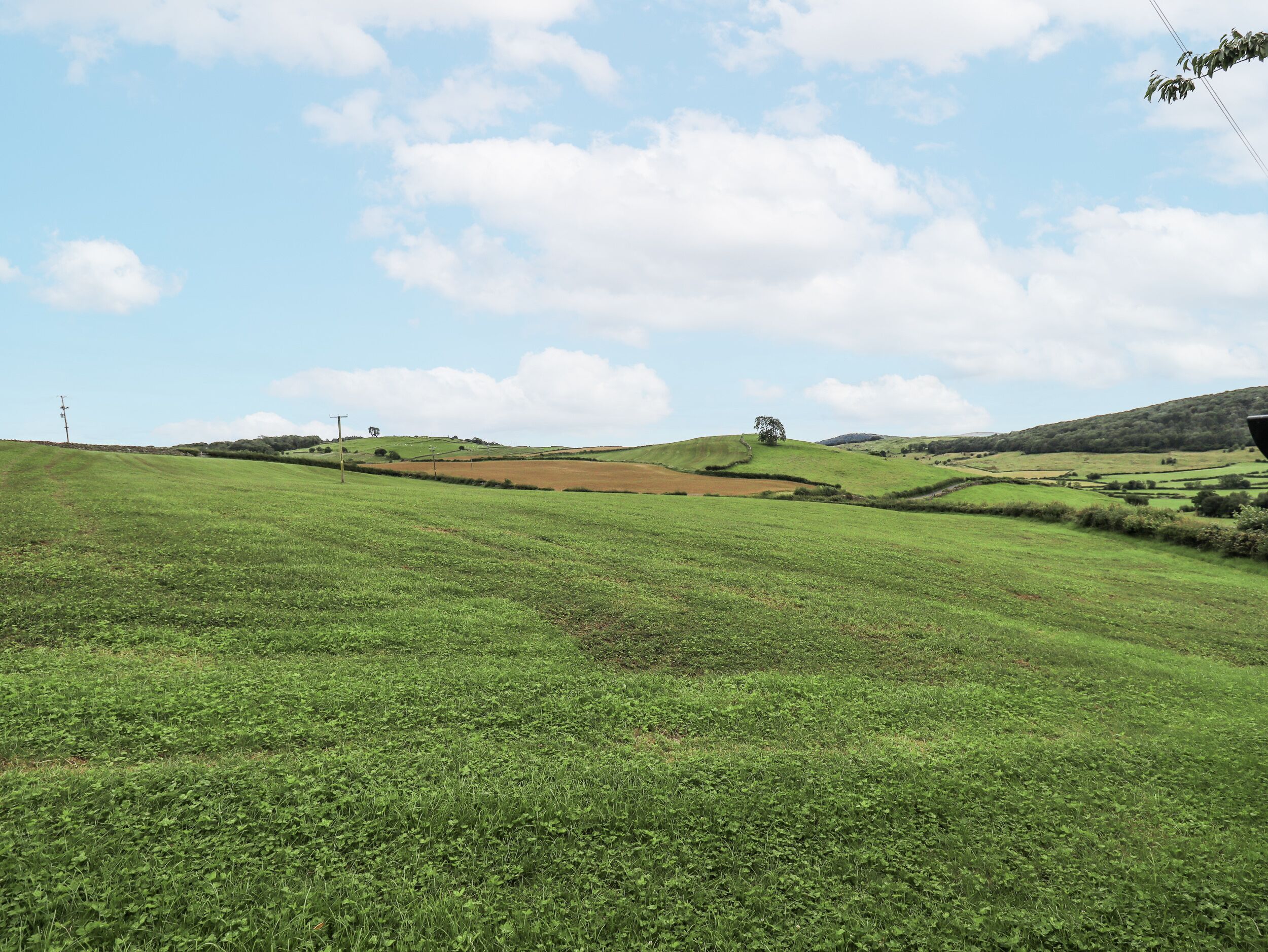 Un campo verde con una colina al fondo.