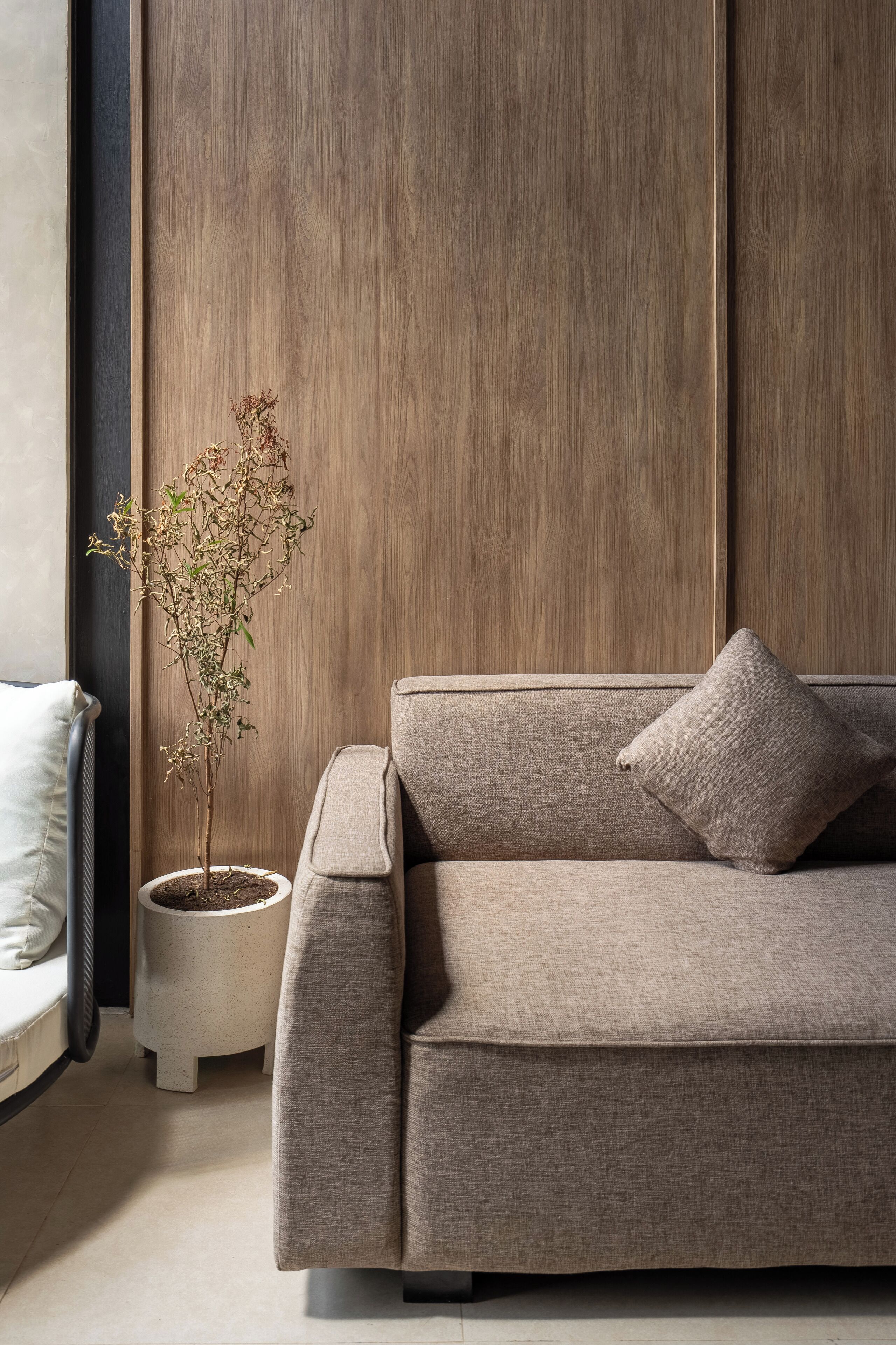 A modern living room with a beige sofa, a small potted plant, and a white cushion.