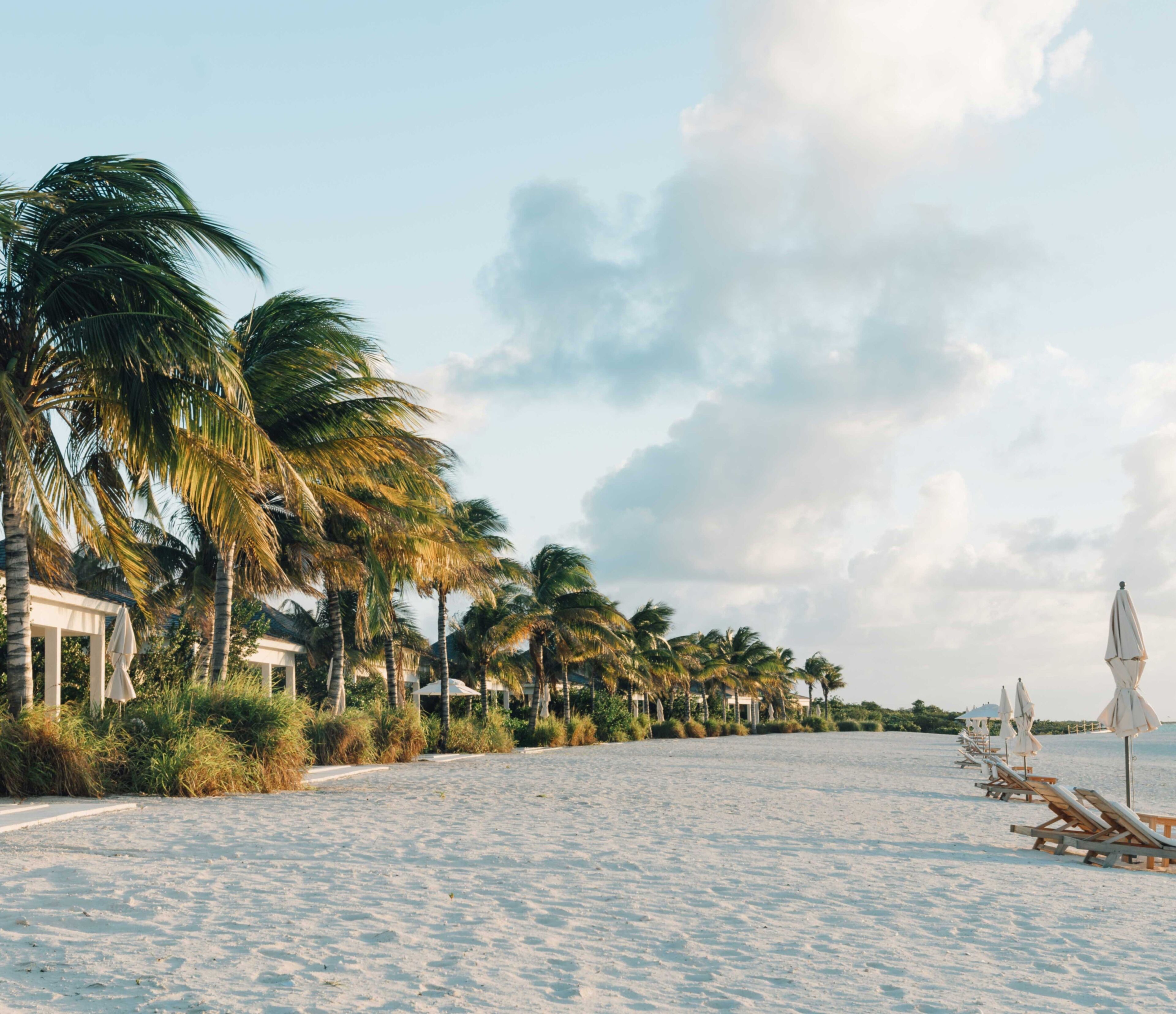 Ein Strand mit Palmen und Liegestühlen.