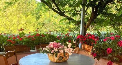 Podere Le Murella apartment Alba