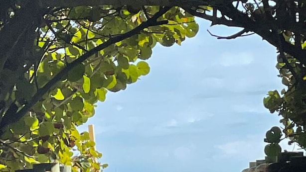 Un camino que lleva a una playa, con una cerca de madera a un lado y una cerca de metal al otro, bajo un cielo despejado.