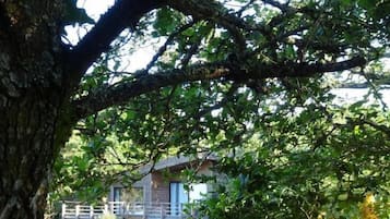 Uitzicht vanuit accommodatie