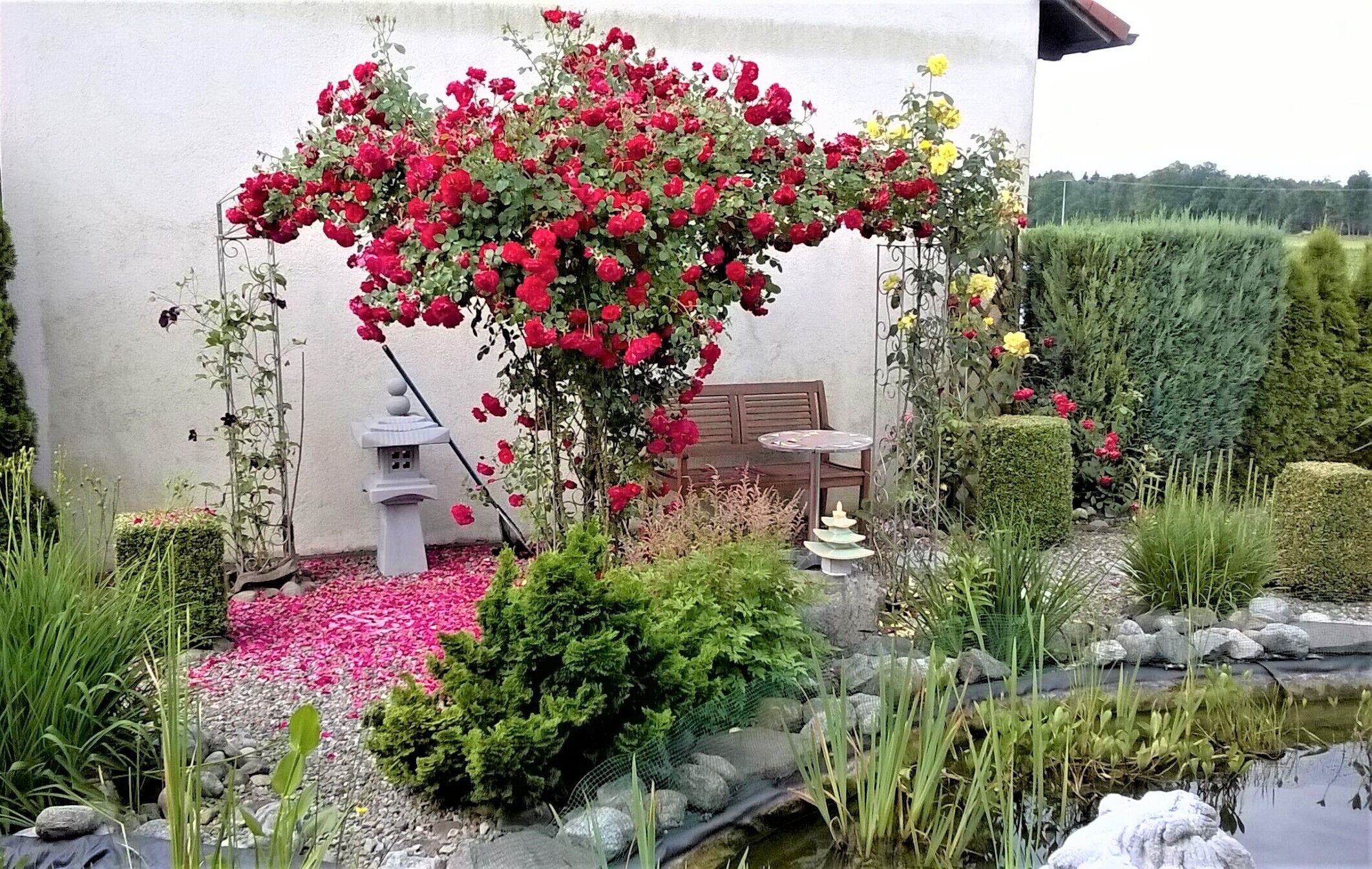 Ein Garten mit einer Pergola, die in rote Rosen überwuchert ist, einem kleinen Teich und einer Sitzgruppe mit Tisch und Stühlen.