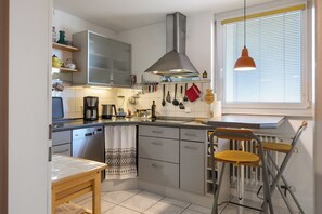 Fridge, microwave, stovetop, dishwasher - Apartment 'Westlicht' with Balcony, Wi-Fi and Air Conditioning (Freiburg im Breisgau)