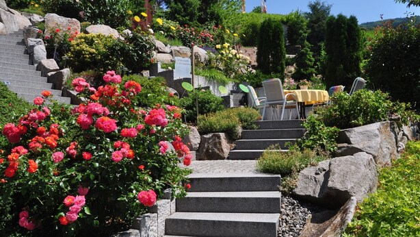 A garden with stone steps, red flowers, and outdoor furniture.
