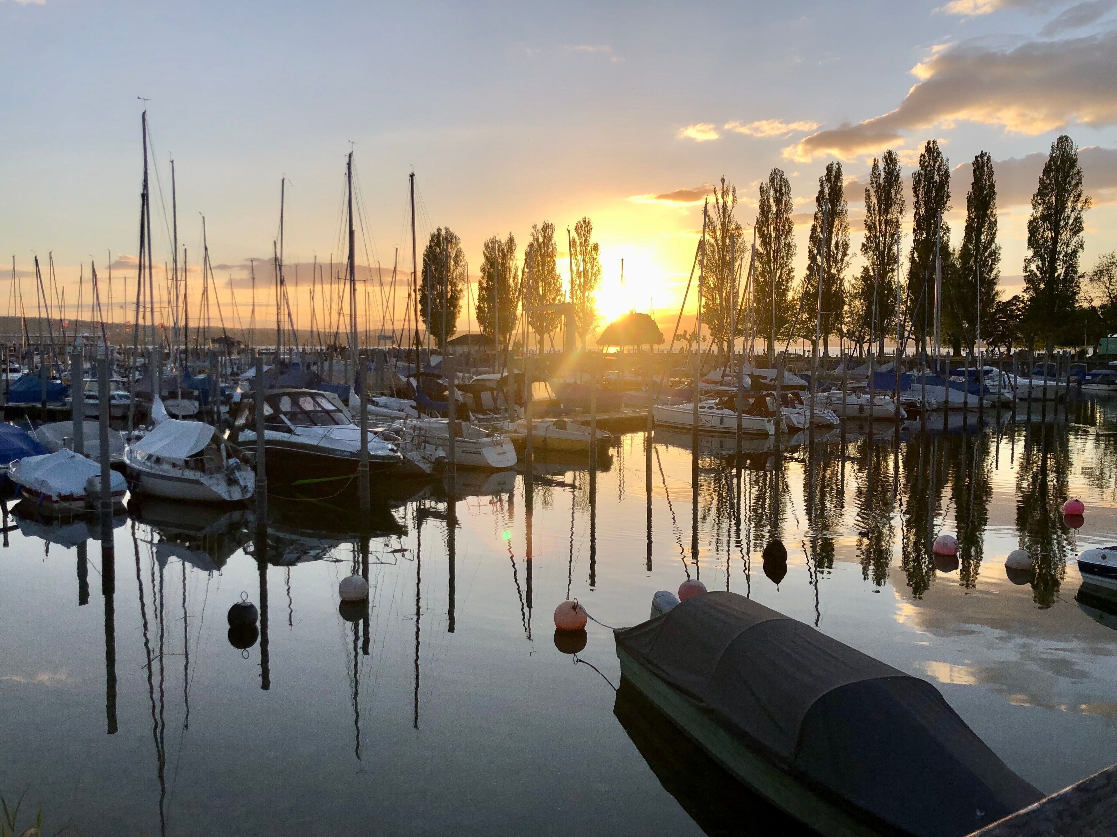 Marina