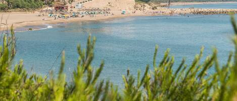 بالقرب من الشاطئ