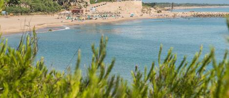 Plage à proximité