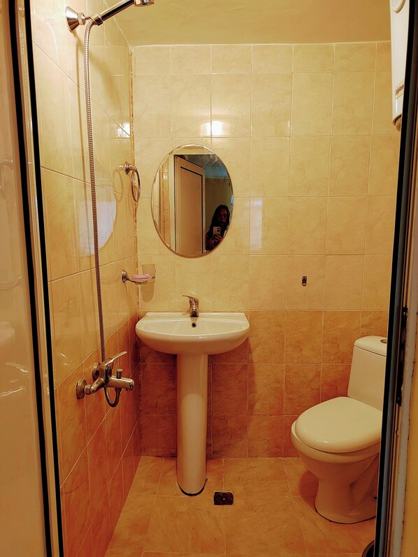 A bathroom with a sink, mirror, toilet, and shower. - Cozy Little Flat in Karlovo (Karlovo)