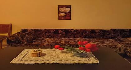 Cozy Little Flat in Karlovo