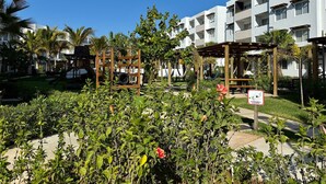 En hotellinnergård med en träpergola, palmer och en skylt som visar att husdjur är välkomna här.