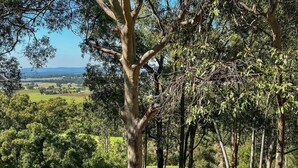 Un parcours de golf avec un mât de drapeau sur un green, entouré d’arbres et d’un paysage vallonné.