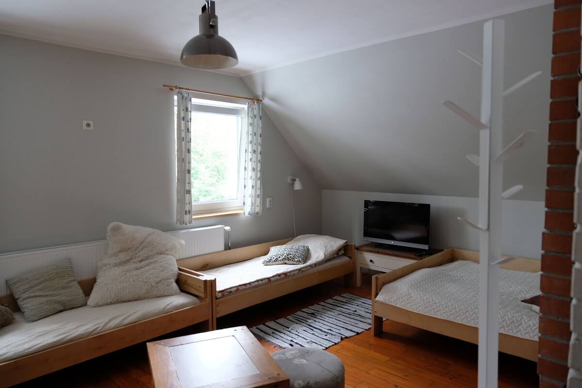 Habitación clásica, varias camas, vistas al río | Decoración individual y mobiliario individual