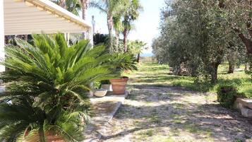 Parco della struttura