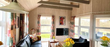 Smart TV, fireplace, DVD player, books