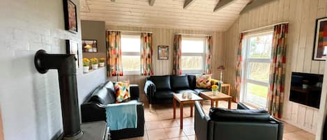 Smart TV, fireplace, DVD player, books