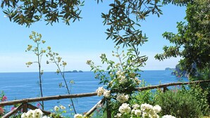 A coastal view with white flowers and a wooden fence overlooking the sea. - Casa La Riva with shared pool - My Rental Homes (Positano)