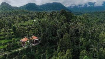 A tropical resort with a red-roofed building surrounded by dense palm trees and lush greenery.