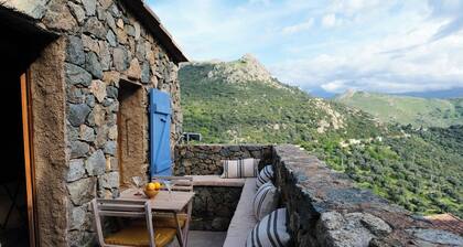 Double room with terrace in a village house in Corbara