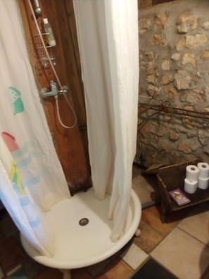 Shower, hair dryer, soap, toilet paper