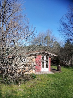 Exteriör