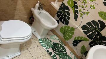 Hair dryer, bidet, towels, soap