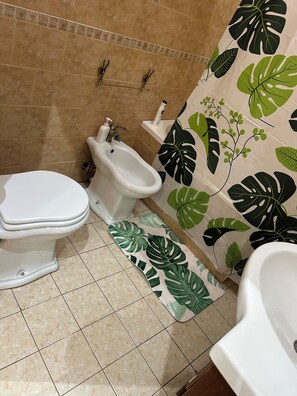 Hair dryer, bidet, towels, soap