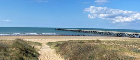 Nära stranden