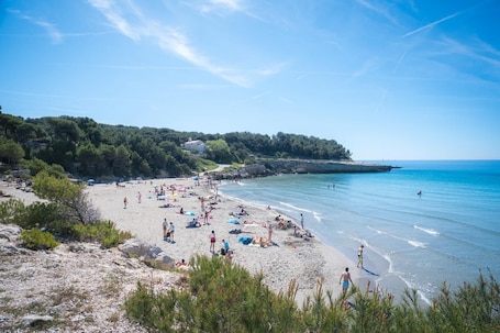 Camping Domaine des Tamaris
