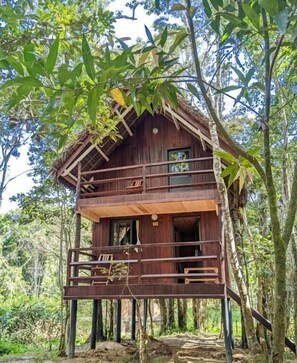 Free WiFi, bed sheets - Longoza Ecolodge (Andasibe)
