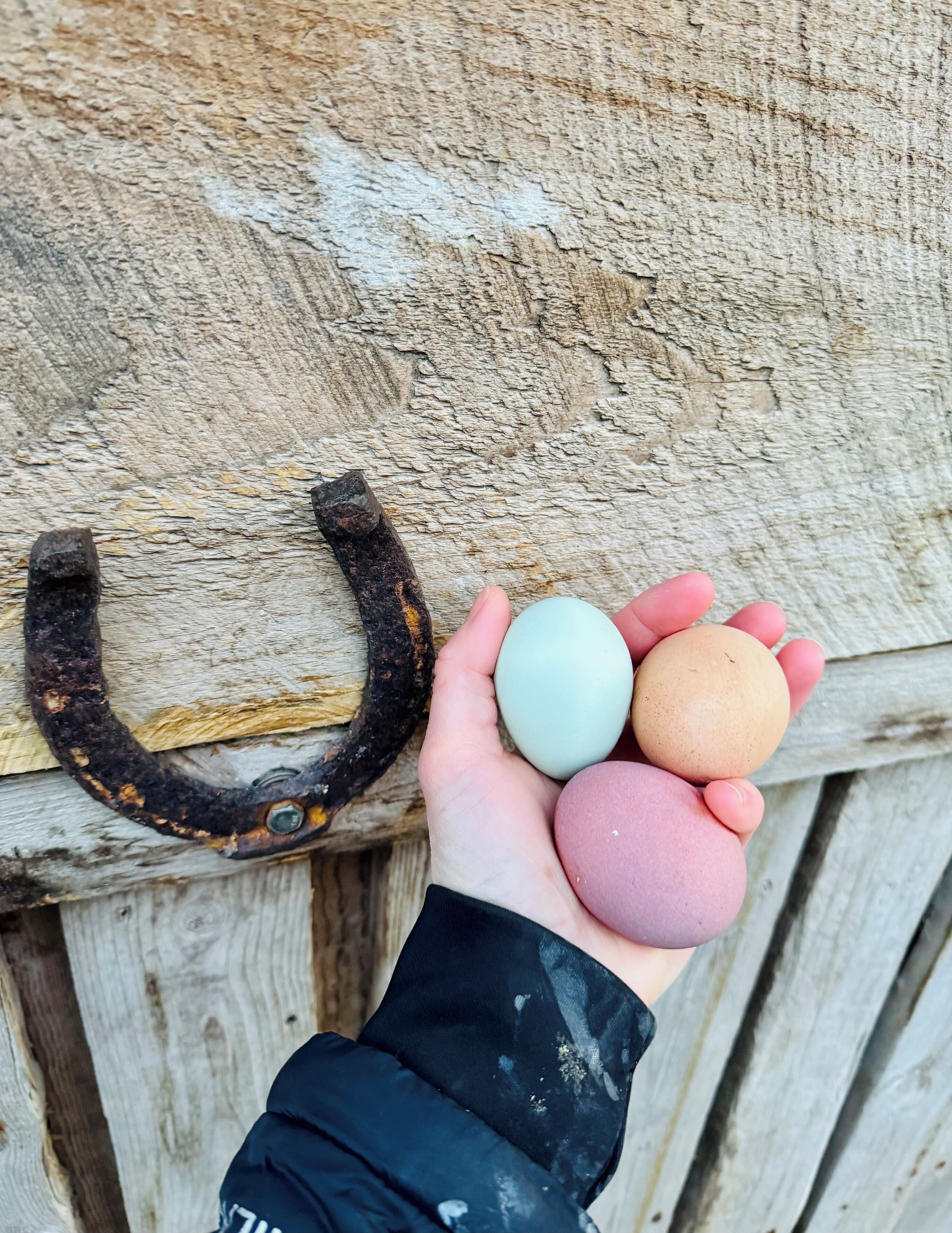 สแตนดาร์ดชาเลท์ | อื่นๆ