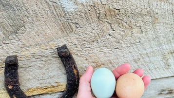 Standard Chalet | Miscellaneous