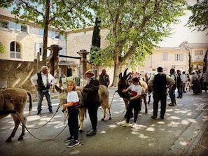 A street scene with people, donkeys, and a building with a stone facade.