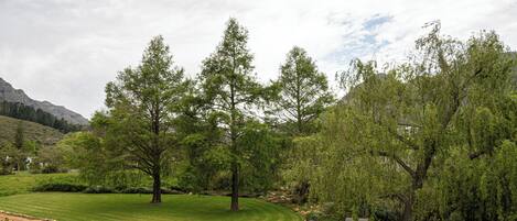 Un jardin aménagé avec une pelouse, des arbres et un chemin de gravier.