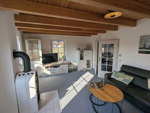 TV connectée, cheminée, lecteur de DVD, livres