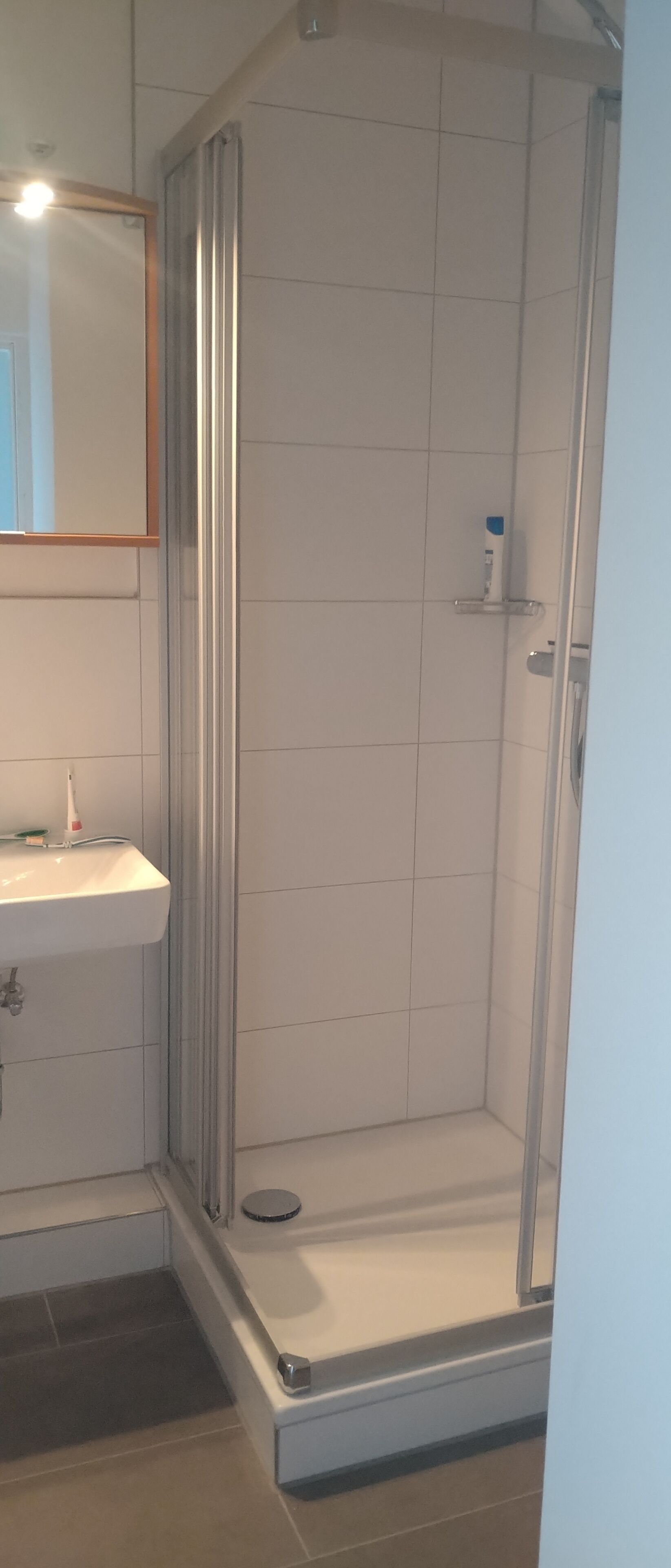 A bathroom with a shower enclosure, a sink, and a mirror.