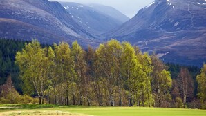 Miscellaneous - Cosy two bed pet friendly holiday home with fire, concservatory and mountain views. Just a 10 minute (Aviemore)