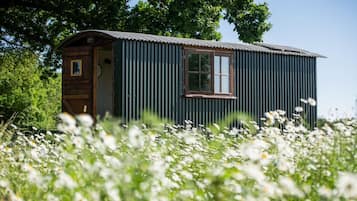 Studio | 1 kamar tidur