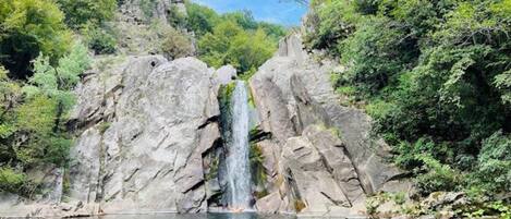 A waterfall cascading down a rocky cliff into a calm body of water, surrounded by lush greenery.