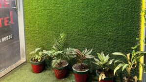 Ảnh chưa phân loại, 5 trong số 18 ảnh, nút